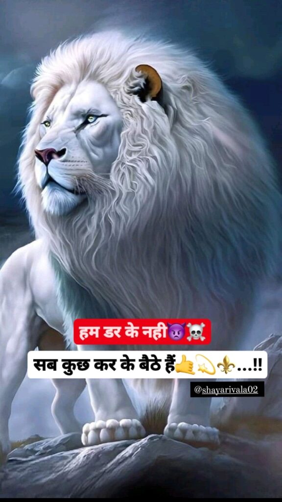 Attitude shayari english lion